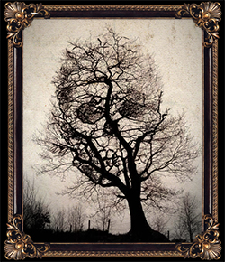Framed Tree.jpg