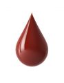 Blood Drop.jpg